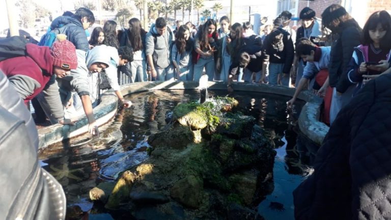 Alumnos de 8° Básico Visitan UCN y Principales Atractivos Culturales y Educativos de Coquimbo